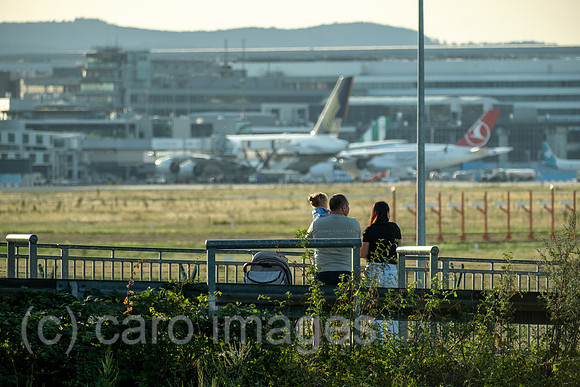 00A250817D697CAROEX.JPG
