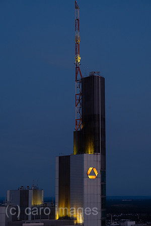 00A250817D865CAROEX.JPG