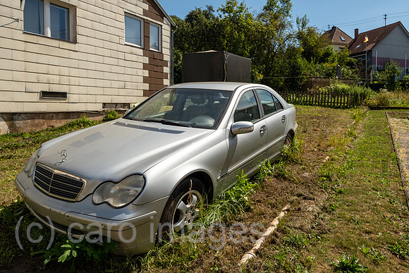 00A250819D305CAROEX.JPG