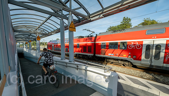 00A250817D666CAROEX.JPG