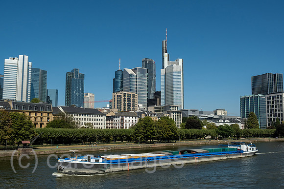 00A250818D044CAROEX.JPG