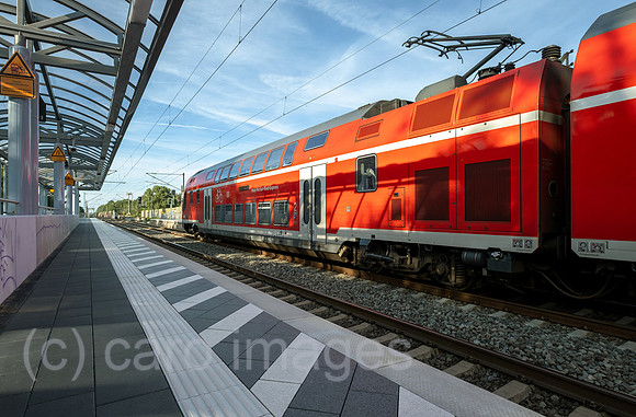 00A250817D670CAROEX.JPG