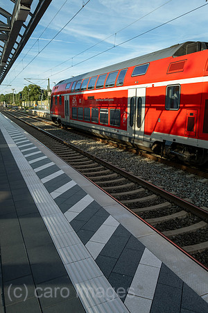 00A250817D668CAROEX.JPG