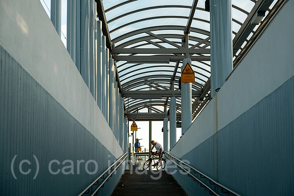00A250817D703CAROEX.JPG