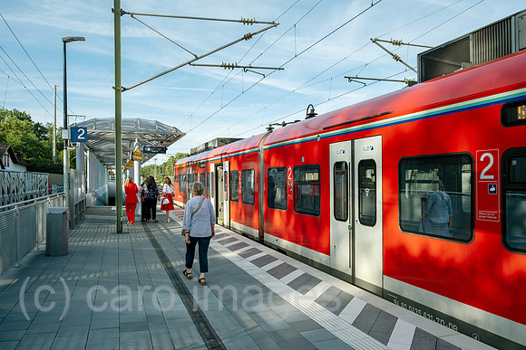 00A250817D659CAROEX.JPG