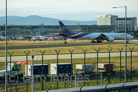 00A250817D679CAROEX.JPG