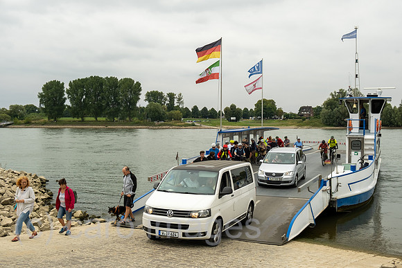 00A250816D587CAROEX.JPG