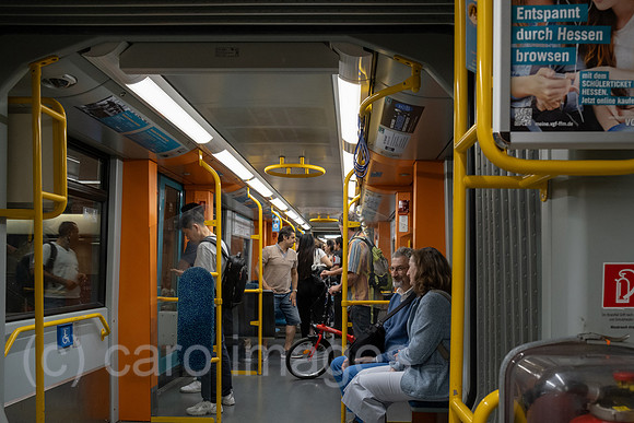 00A250817D870CAROEX.JPG