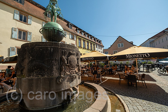00A250819D280CAROEX.JPG