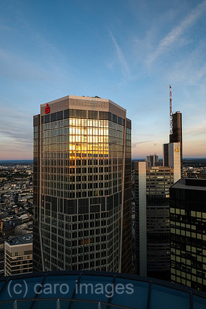 00A250817D743CAROEX.JPG