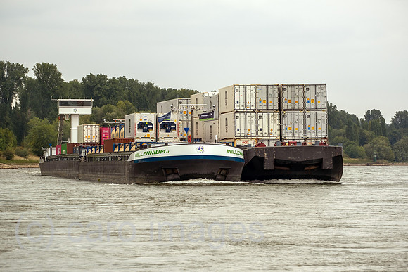 00A250816D594CAROEX.JPG