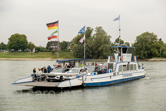00A250816D570CAROEX.JPG
