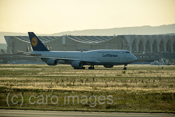 00A250817D694CAROEX.JPG
