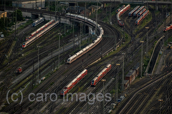 00A250817D756CAROEX.JPG