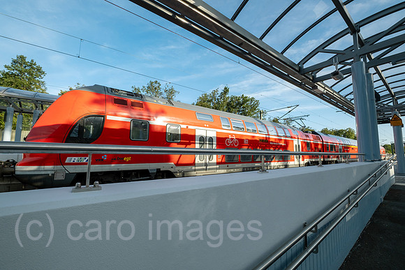 00A250817D664CAROEX.JPG