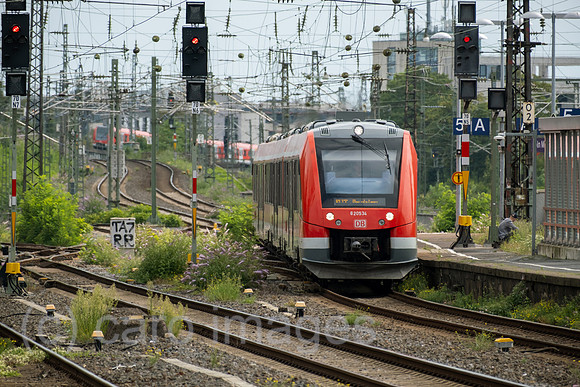 00A250817D633CAROEX.JPG