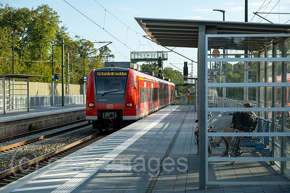 00A250817D660CAROEX.JPG
