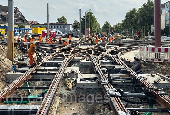 00A250726D034CAROEX.JPG