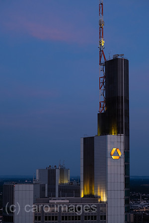 00A250817D830CAROEX.JPG