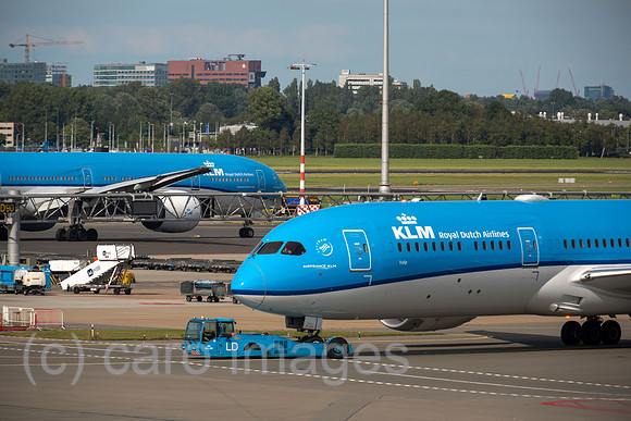 00A190721D049CAROEX.JPG