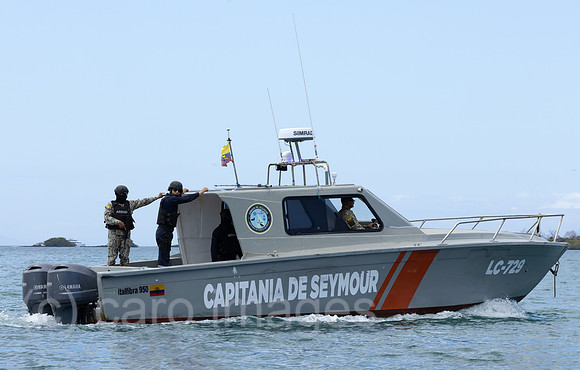 00S241215D337CAROEX.JPG