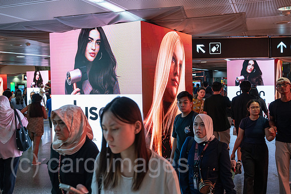 0SL251128D014CAROEX.JPG