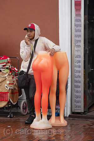 00S241213D164CAROEX.JPG