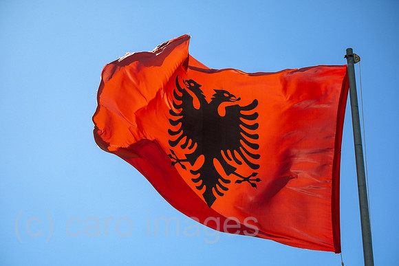 00A240929D587CAROEX.JPG