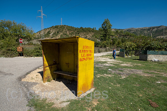 00A240927D018CAROEX.JPG