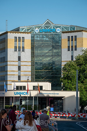 00A260601D527CAROEX.JPG