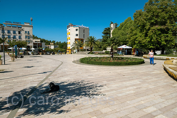00A240927D030CAROEX.JPG