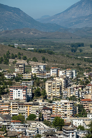 00A240928D045CAROEX.JPG