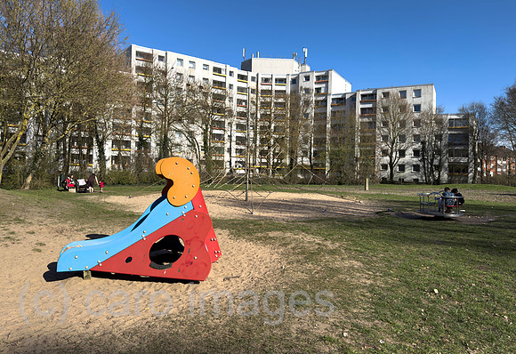 00A260320D012CAROEX.JPG
