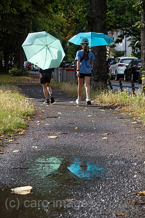00S230729D089CAROEX.JPG
