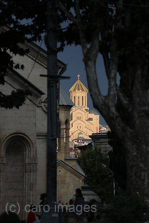 00S190917D034CAROEX.JPG