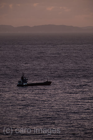 00A240929D817CAROEX.JPG