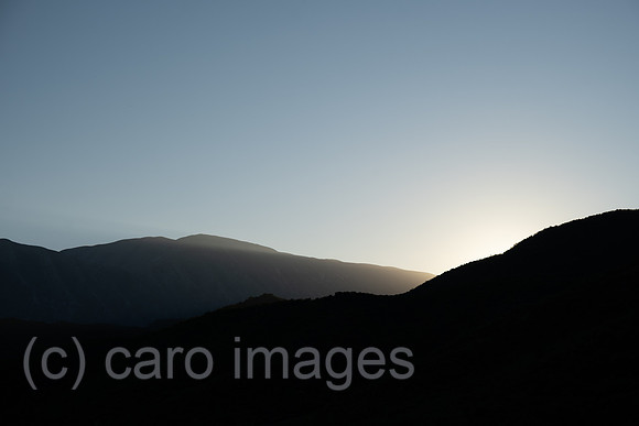00A240927D052CAROEX.JPG