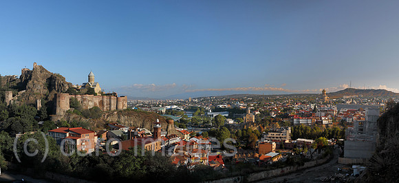 00S190918D038CAROEX.JPG