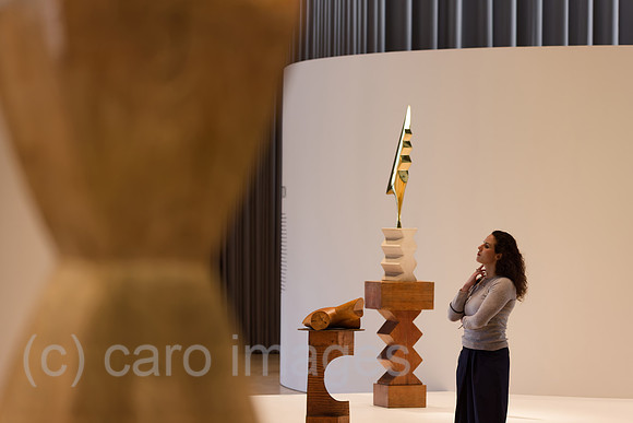 00U260317D030CAROEX.JPG