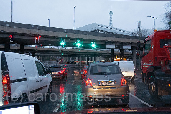 00S250123D333CAROEX.JPG