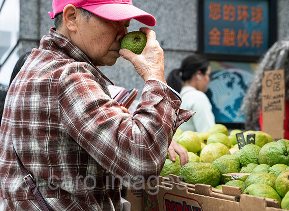 0SL250601D032CAROEX.JPG