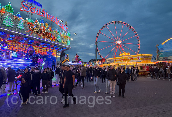 00A260411D034CAROEX.JPG