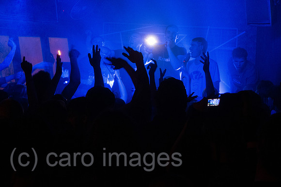 00S250411D460CAROEX.JPG