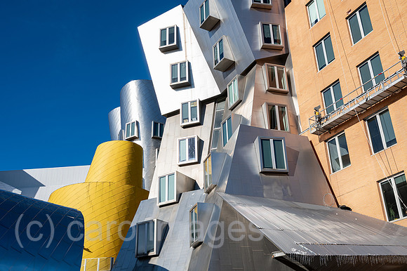 0SL251215D001CAROEX.JPG