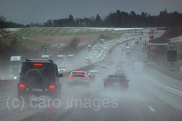 00S220128D054CAROEX.JPG