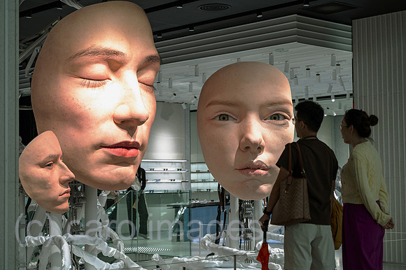 0SL251003D008CAROEX.JPG