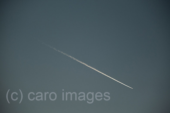 00A240927D056CAROEX.JPG