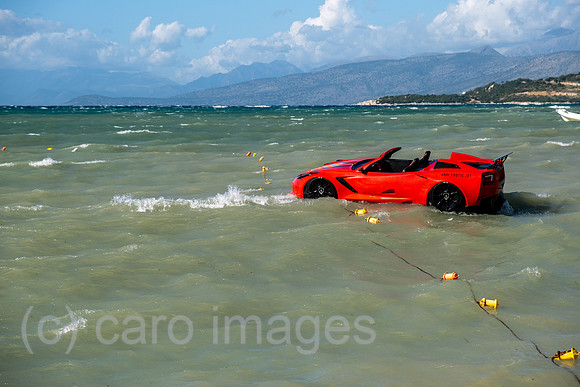 00A240929D668CAROEX.JPG