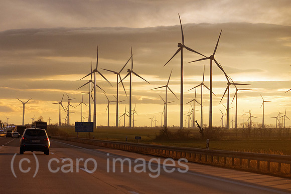 00S250123D336CAROEX.JPG