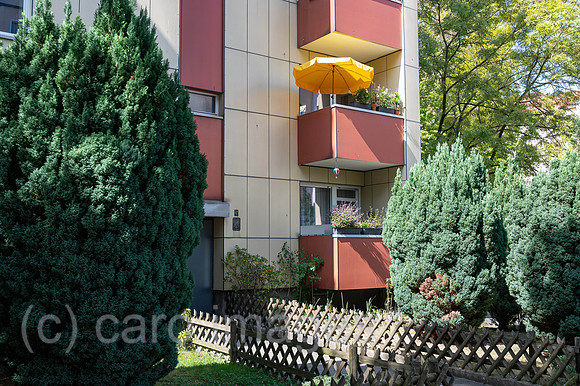 0SL240902D011CAROEX.JPG